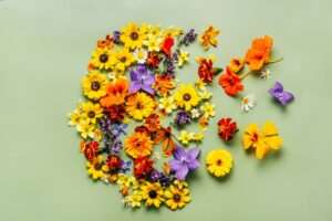 Human head symbol with orange, blue and yellow flowers on green background