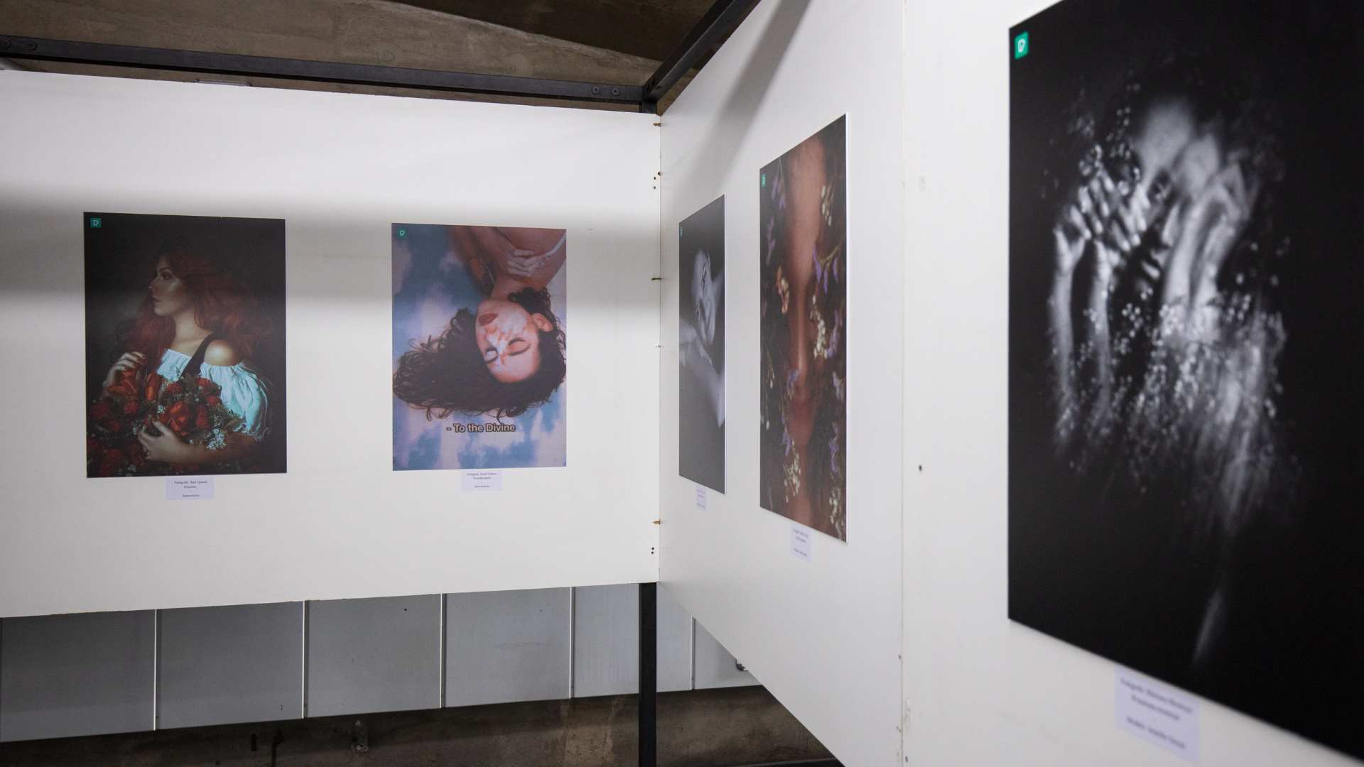 Photography in museum